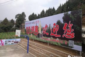 新春年味濃，相約正覺寺