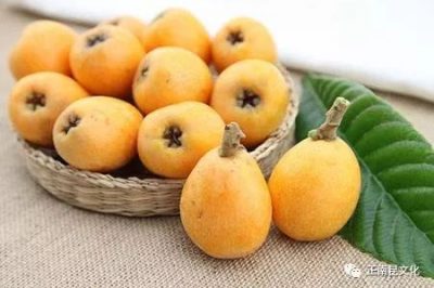 《寺外桃源講花卉》–福果枇杷送福利啦！