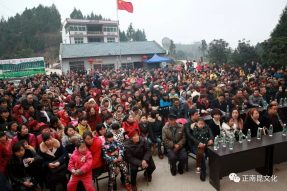 村晚十五周年盛典，星光大道明星與您同慶！