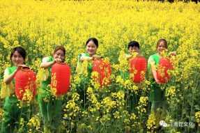 抗擊疫情 擁抱春天，2020南部縣西水鎮網絡油菜花文化節