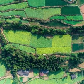 川北民間傳統(tǒng)文化紀錄片《川北舊事》第二十四集 —《送絲蠶》